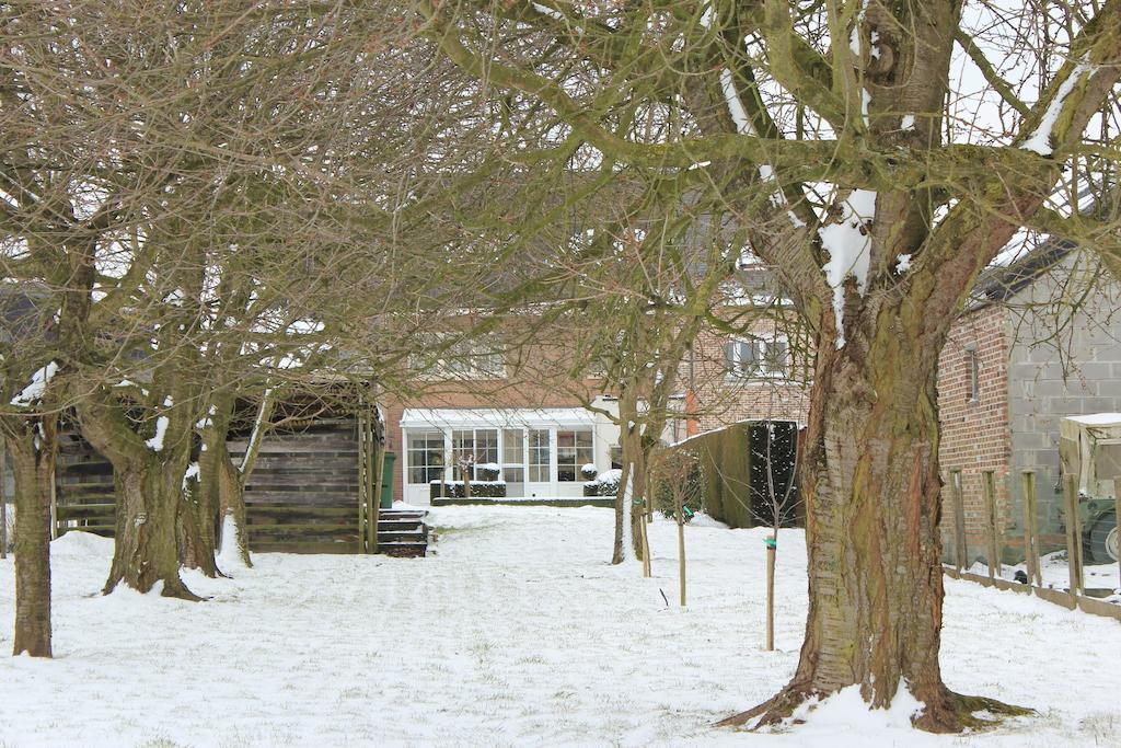 B&B Den Boomgaard Moorsel Exteriör bild