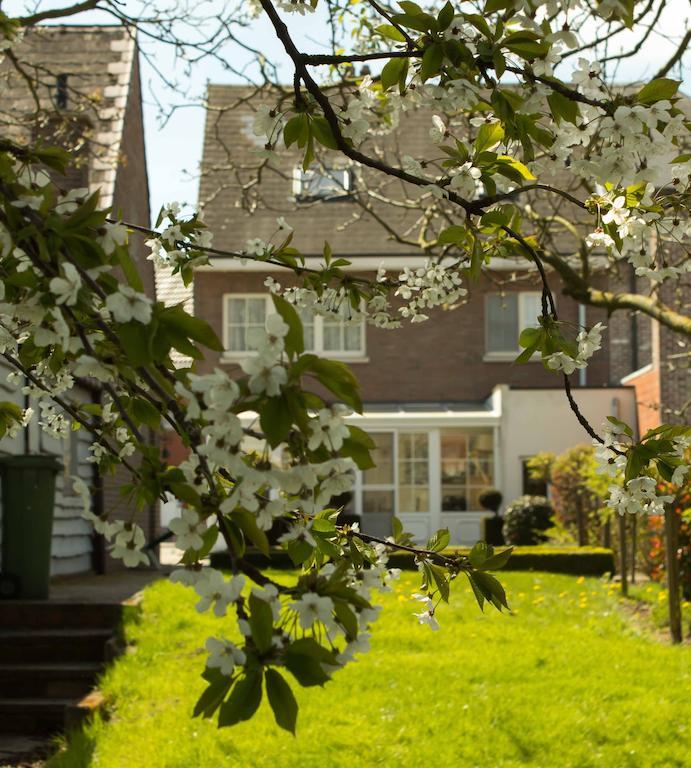 B&B Den Boomgaard Moorsel Exteriör bild